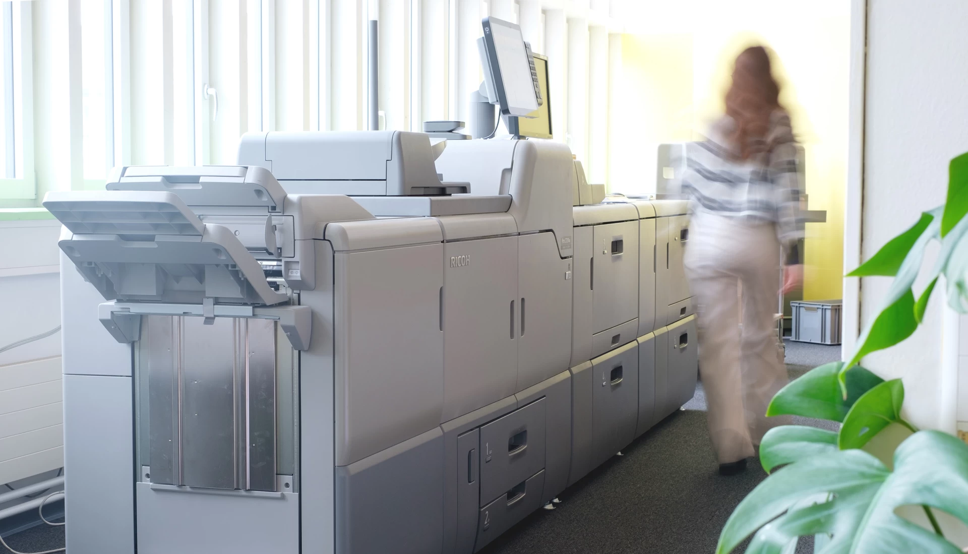 digitaldruck, druck, farbig,